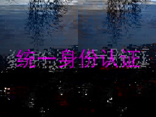 统一身份认证