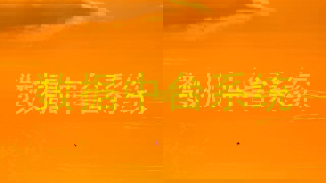 数据中台系统