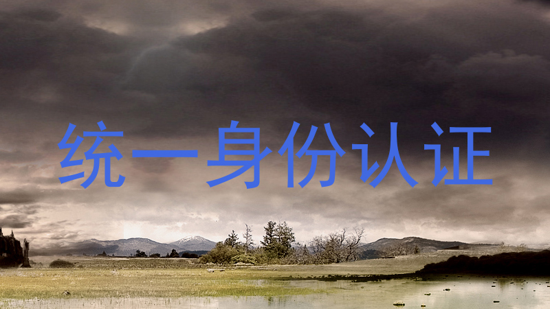 统一身份认证