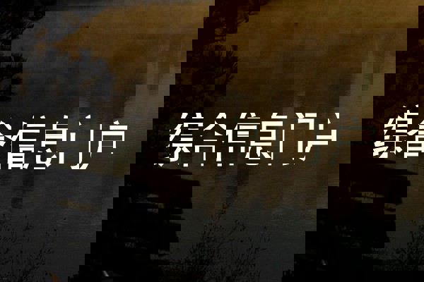 综合信息门户