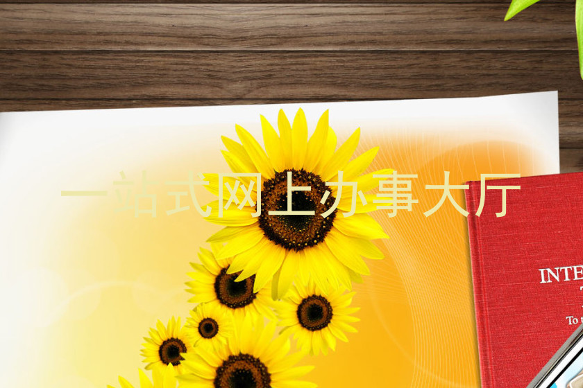 一站式网上办事大厅