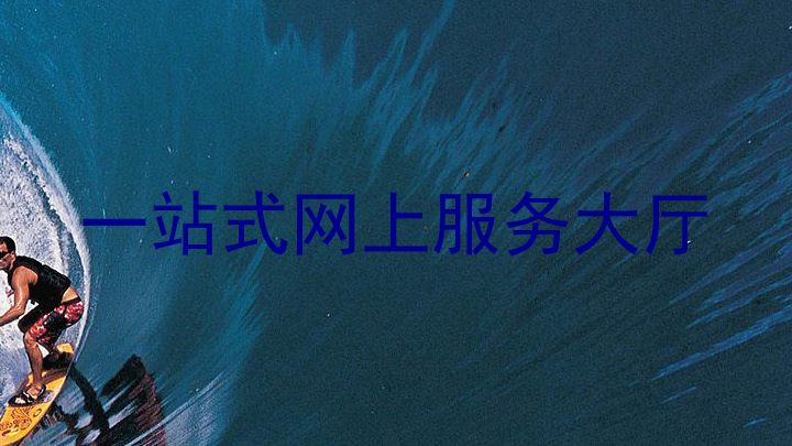一站式网上服务大厅