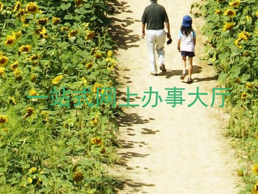 一站式网上办事大厅