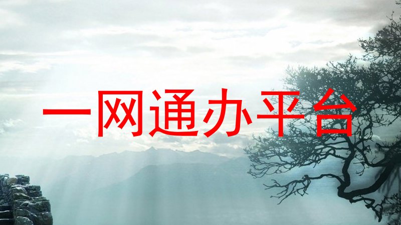 一网通办平台