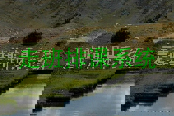 走班排课系统