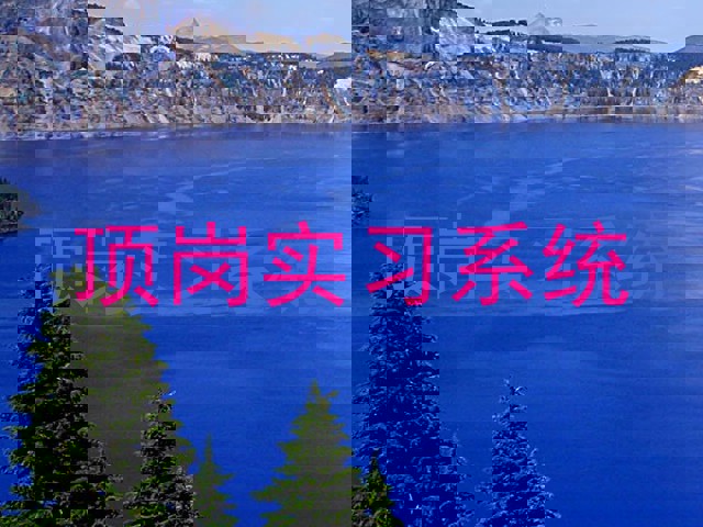顶岗实习系统