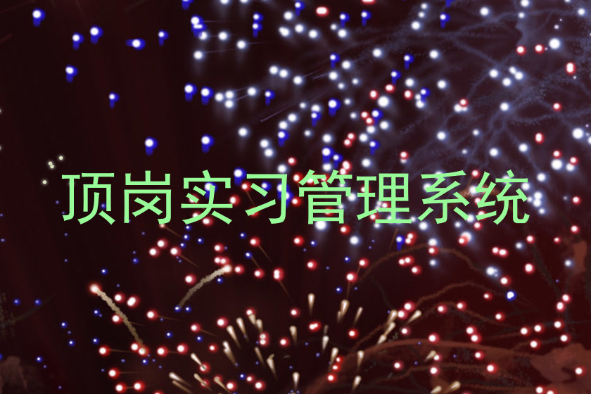 顶岗实习管理系统