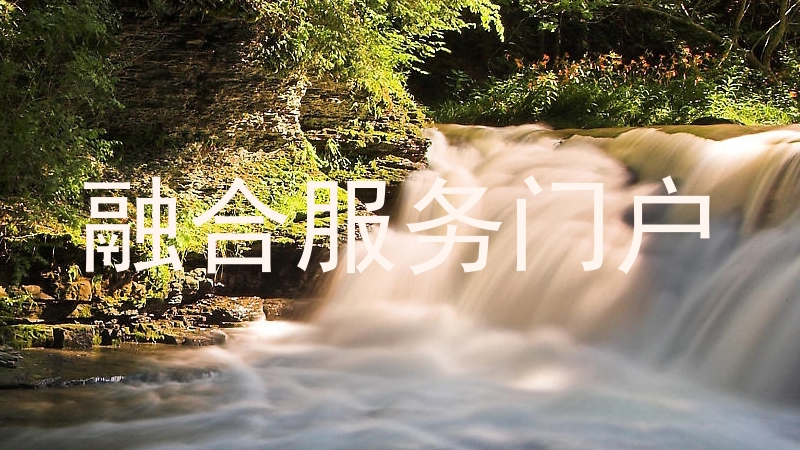 融合服务门户