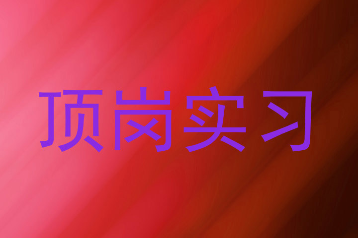顶岗实习