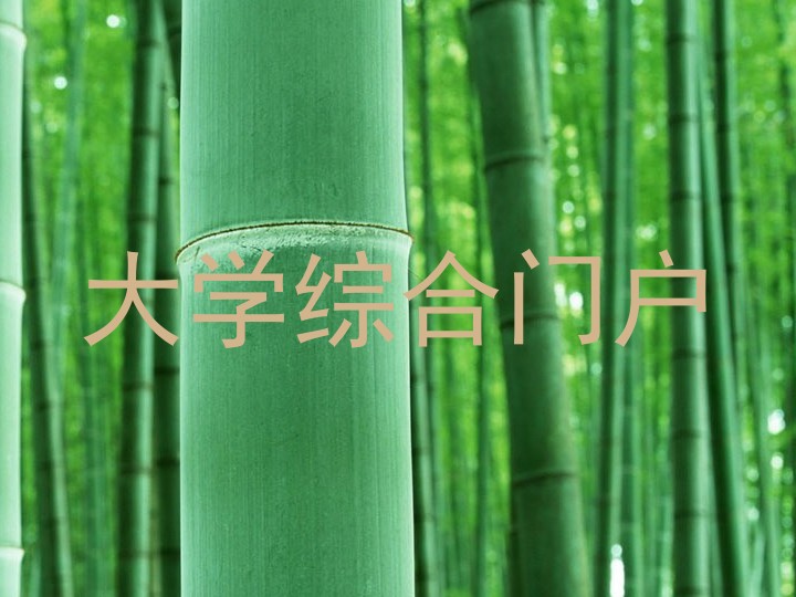 大学综合门户