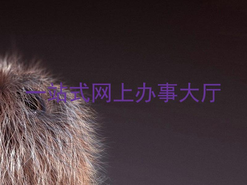 一站式网上办事大厅