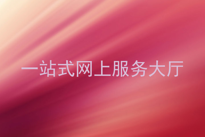 一站式网上服务大厅