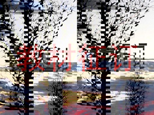 教材征订