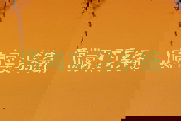 顶岗实习系统
