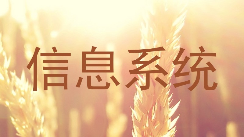 信息系统