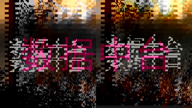 数据中台