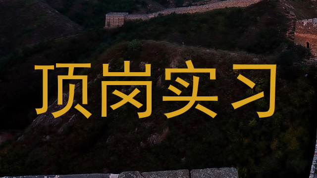 顶岗实习