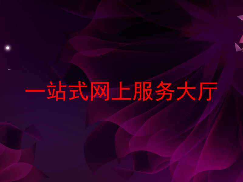 一站式网上服务大厅