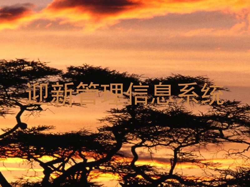 迎新管理信息系统