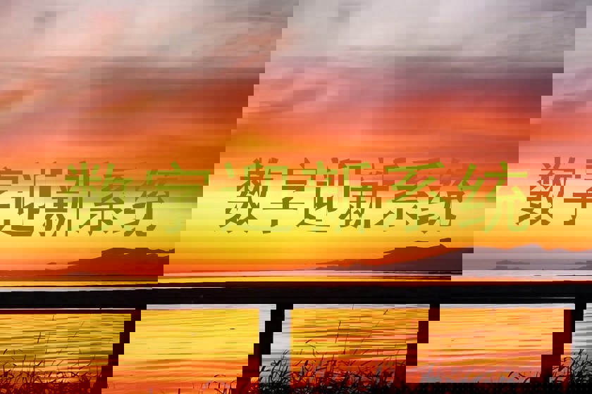 数字迎新系统