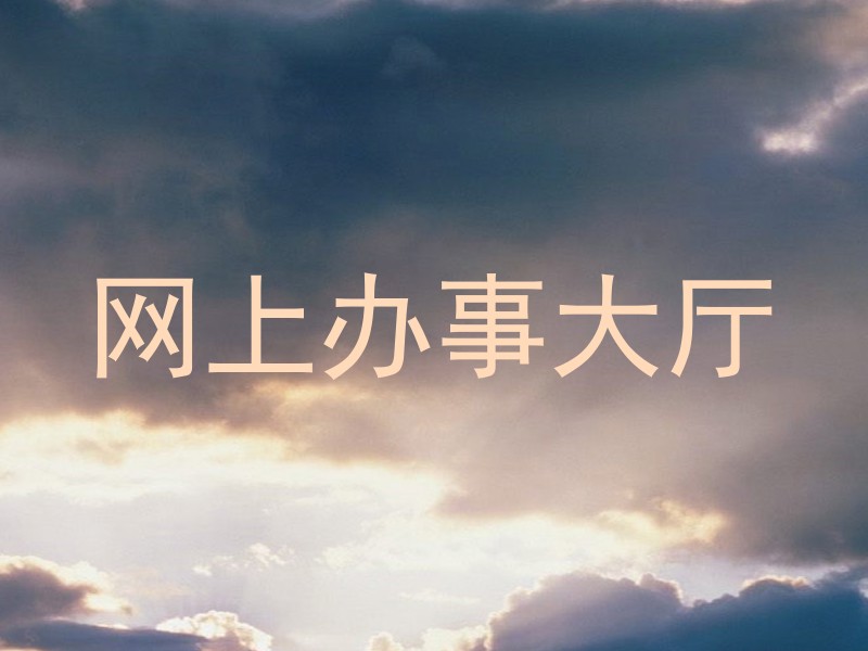 网上办事大厅