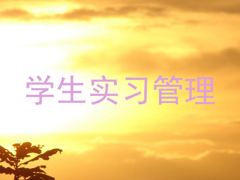 学生实习管理