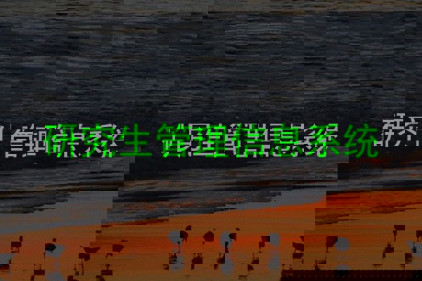 研究生管理信息系统