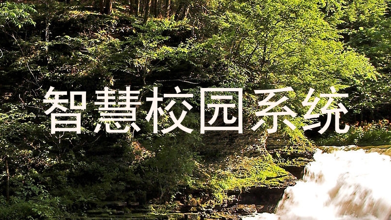 智慧校园系统