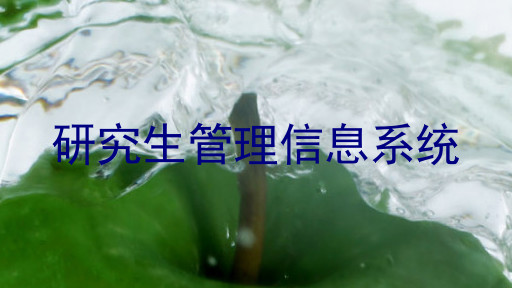 研究生管理信息系统