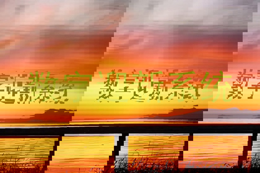 数字迎新系统