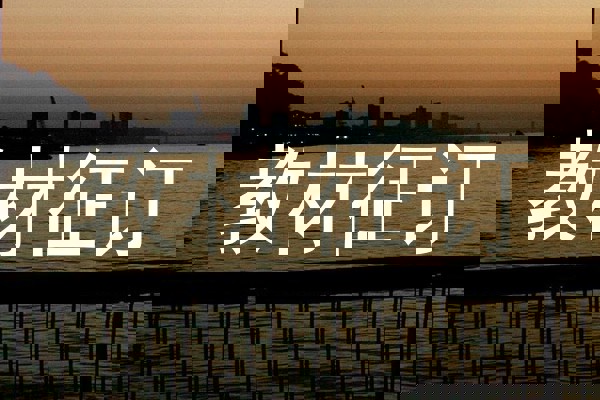 教材征订