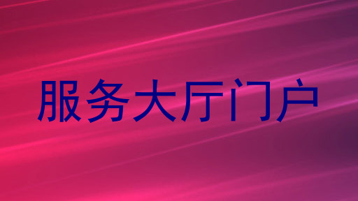 服务大厅门户