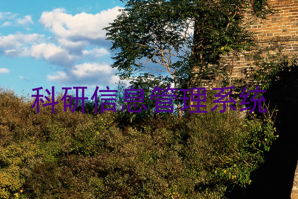 科研信息管理系统