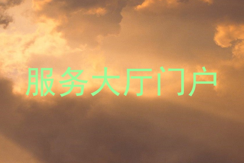 服务大厅门户