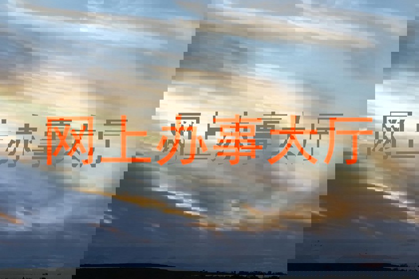 网上办事大厅