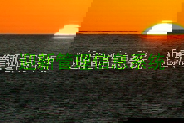 迎新管理信息系统