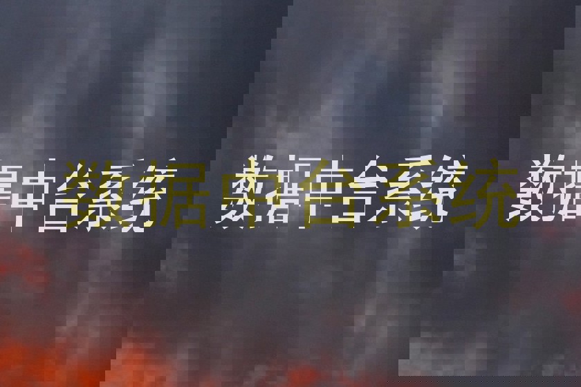 数据中台系统