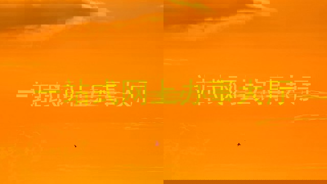 一站式网上办事大厅