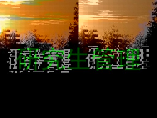 研究生管理