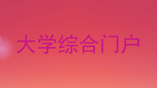 大学综合门户