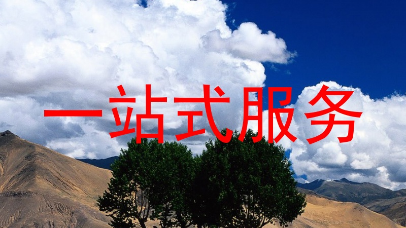 一站式服务