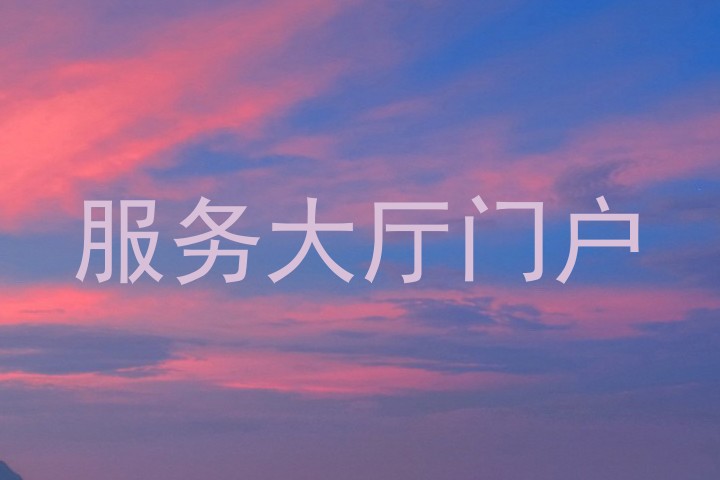 服务大厅门户