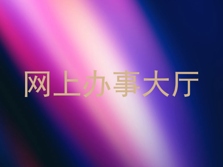 网上办事大厅