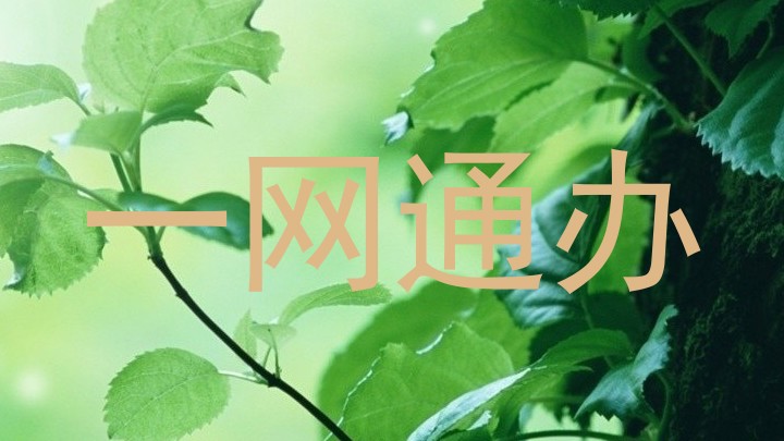 一网通办