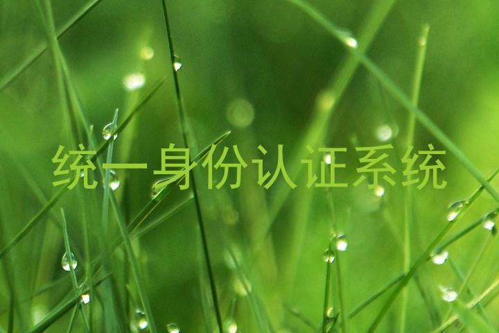 统一身份认证系统