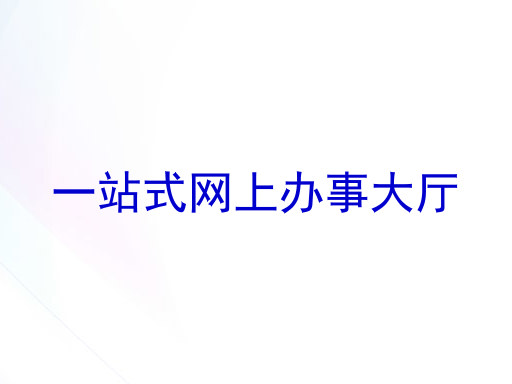 一站式网上办事大厅