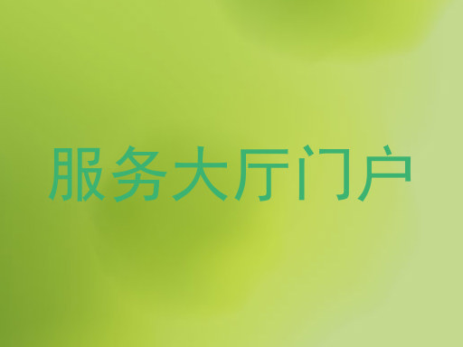 服务大厅门户