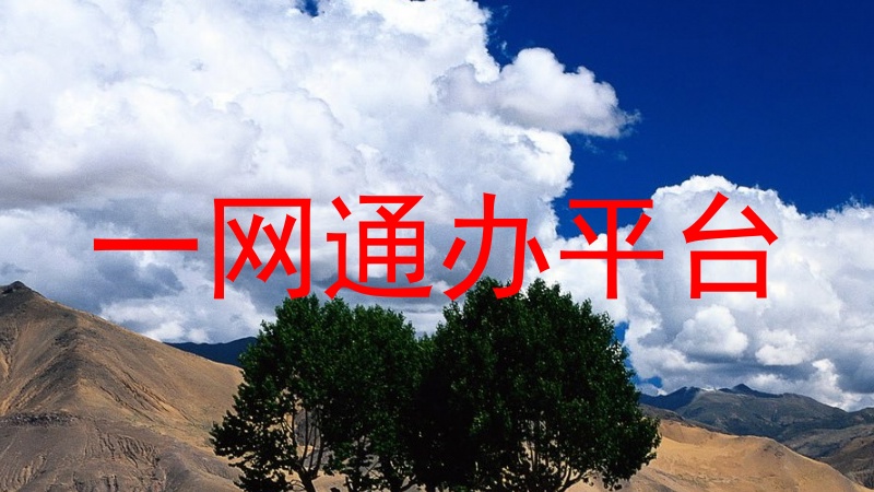 一网通办平台