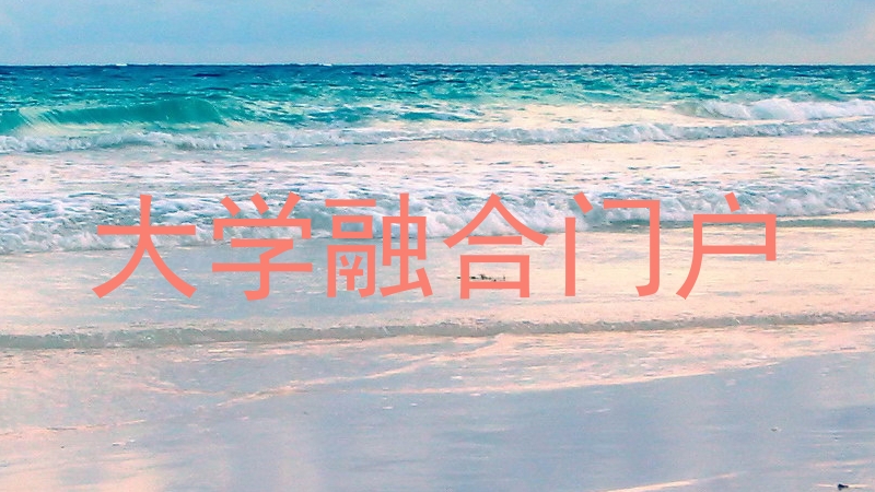 大学融合门户