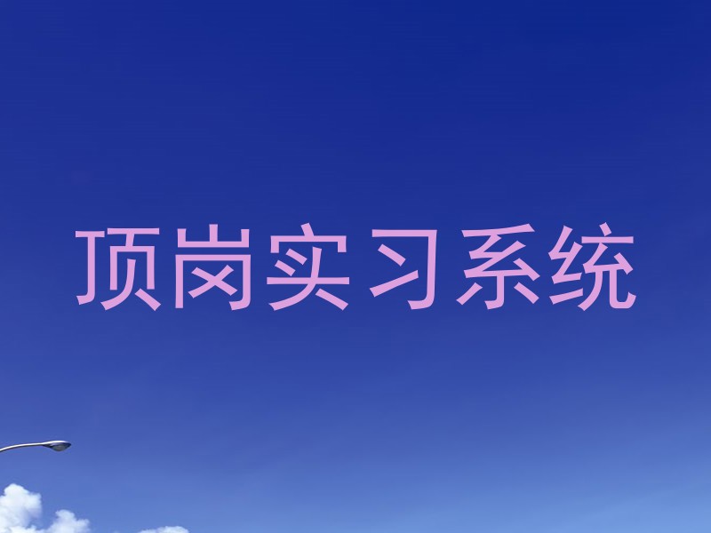 顶岗实习系统